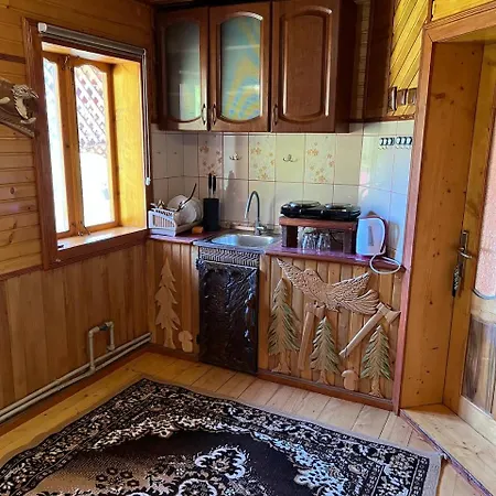 Будинок відпочинку карпатський-затишок *